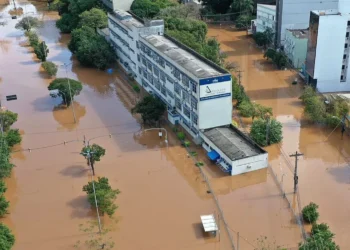 instituições de ensino, centros acadêmicos, faculdades;