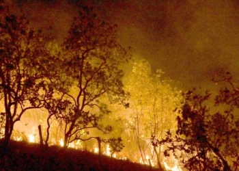 incêndios, focos, de incêndio, chamas;