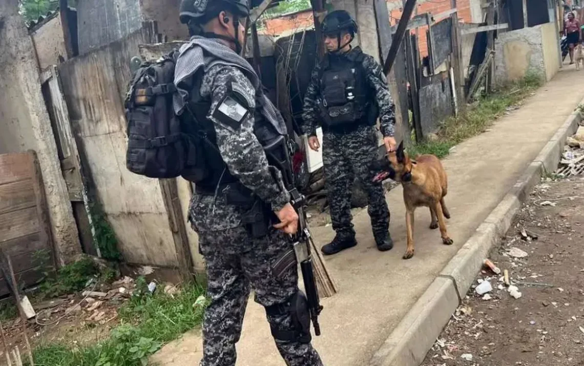 ações, policiais, operações da polícia, incursões policiais, operações de segurança, operações policiais;