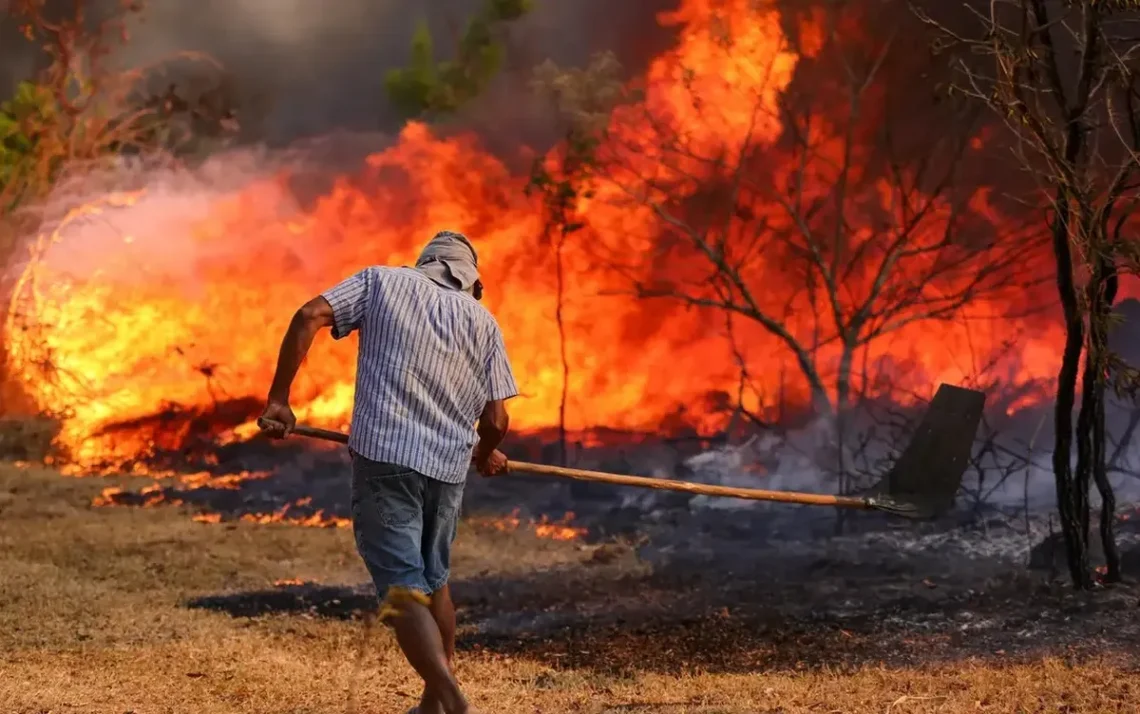 incêndios, incendiados, focos de incêndio';