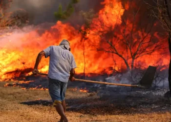 incêndios, incendiados, focos de incêndio';