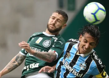 Brasileirão, Alviverde;