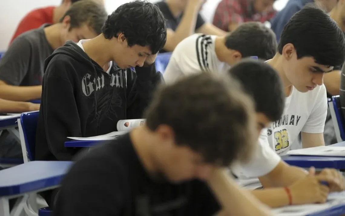 educação, superior, superiores, instituições, de ensino