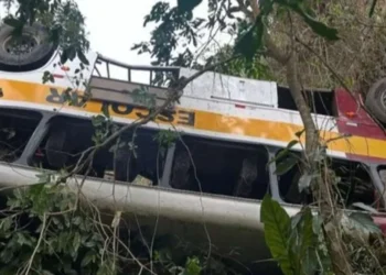 ônibus, veículo, transporte;