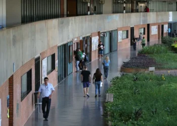 Educação, Superior, Ensino, Pública, Gratuito;