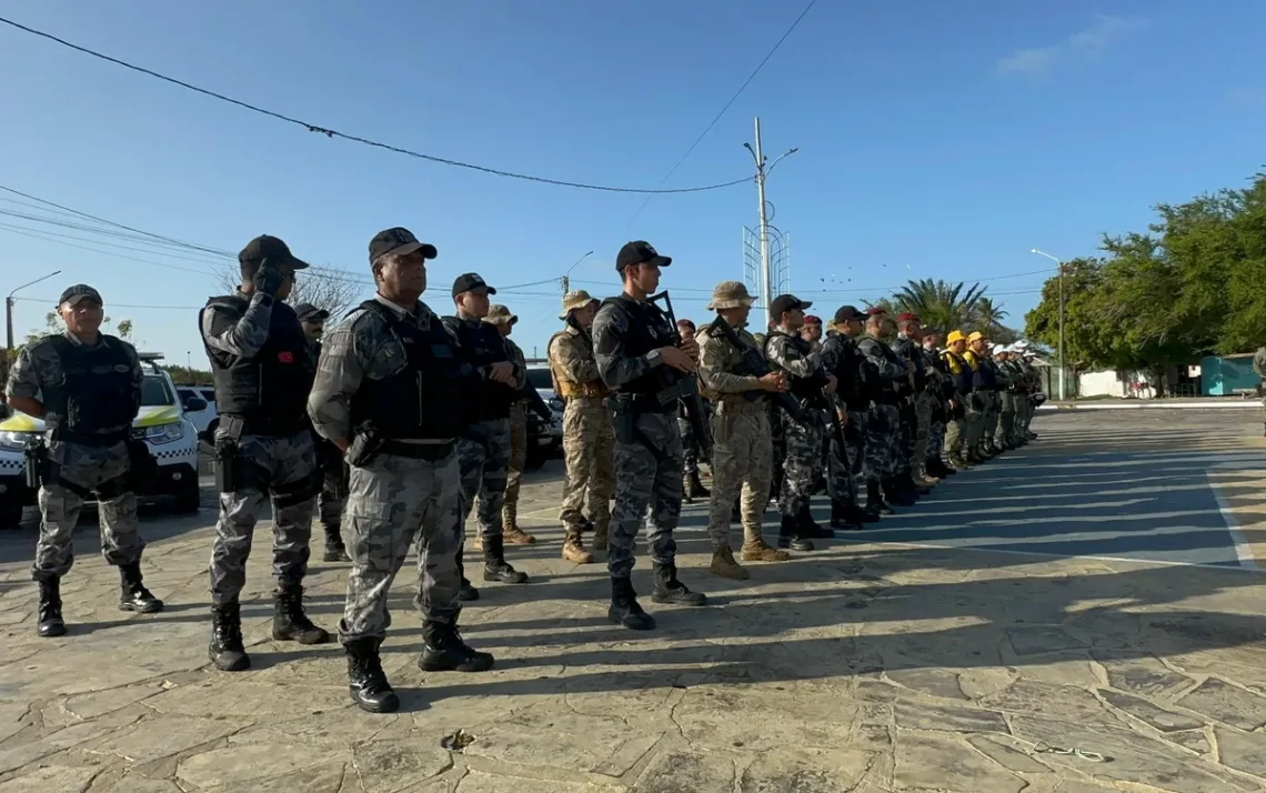 Nesse, caso, o, termo principal, não tem, sinônimos relevantes;