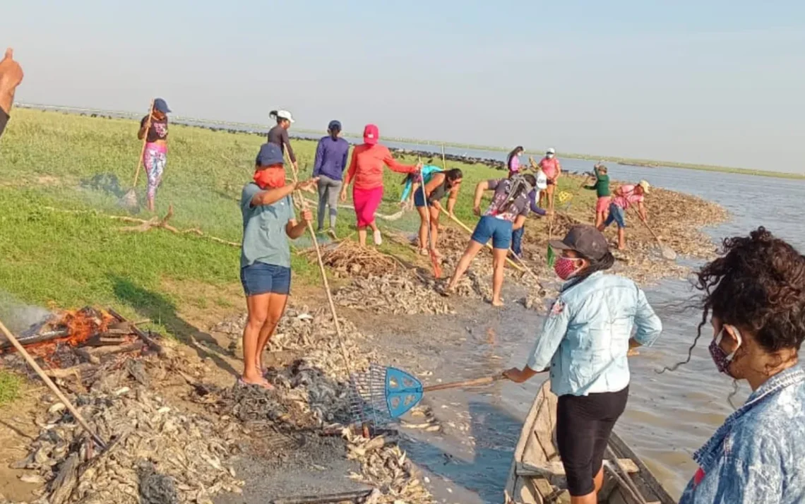 pescadores, ribeirinhos, peixes;