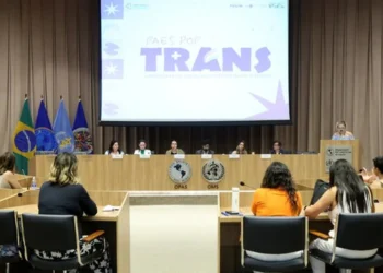 população transgênero, população travesti, população lgbtqia+;