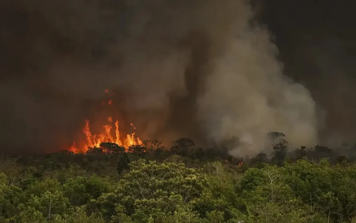 incêndios florestais, fogo, queimadas.