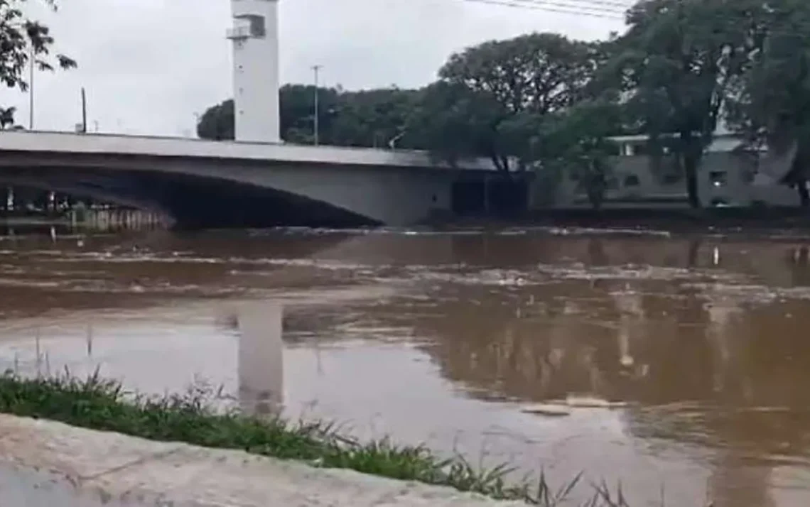 tempestade, precipitação, aguaceiro, temporal, chuvada';