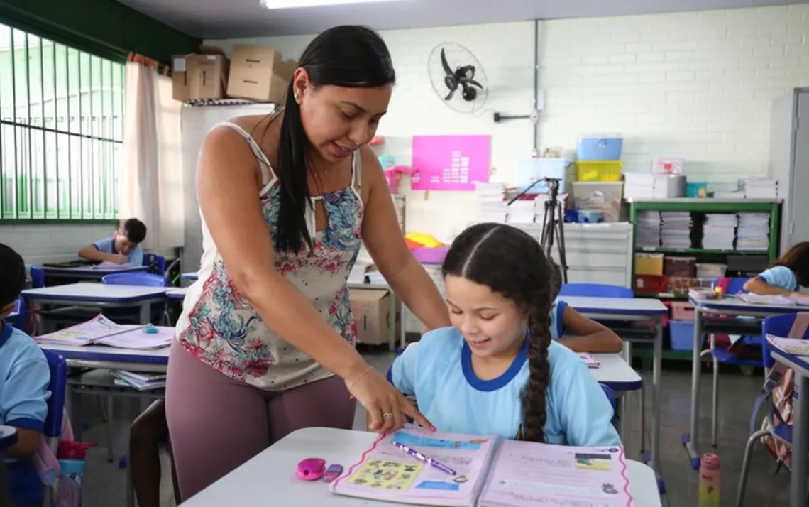 ensino, instrução, formação';