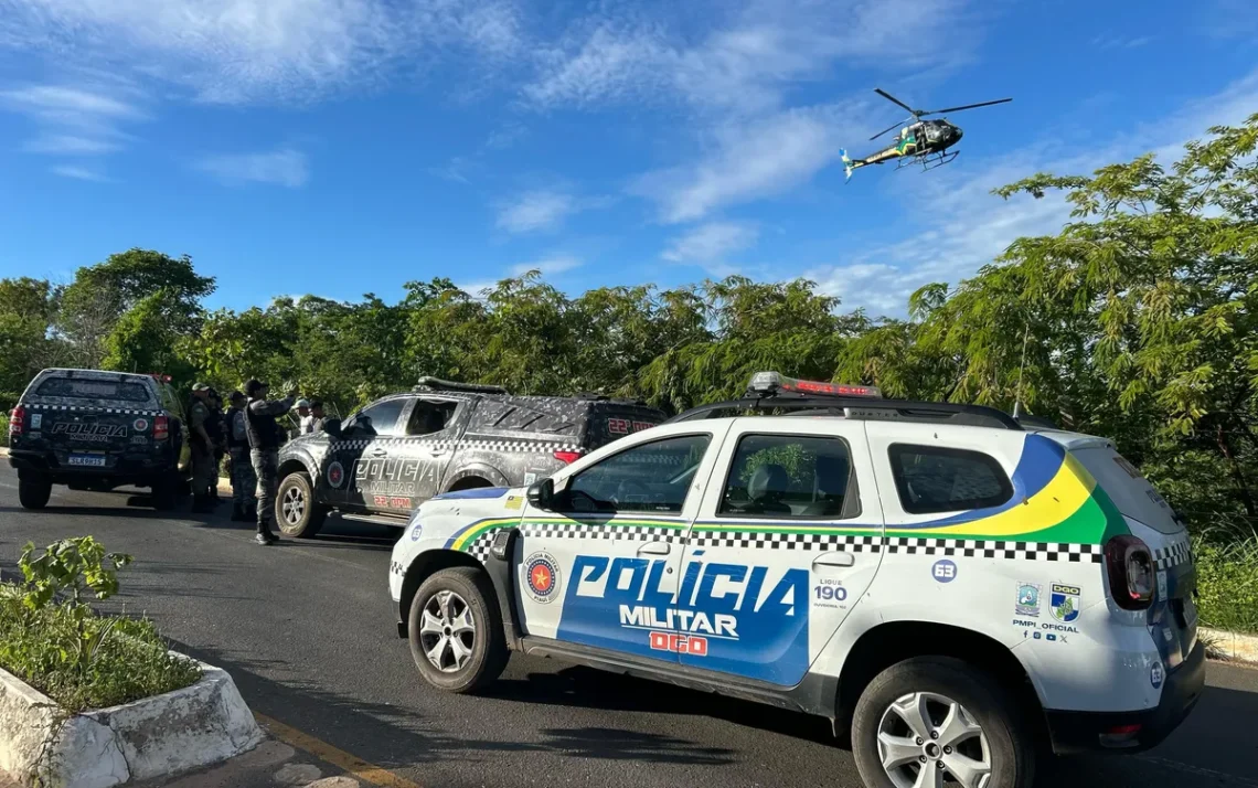 proteção, defesa, vigilância';